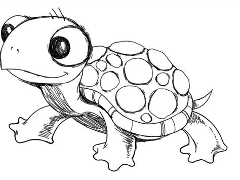 Turtle Head Drawing at GetDrawings | Free download