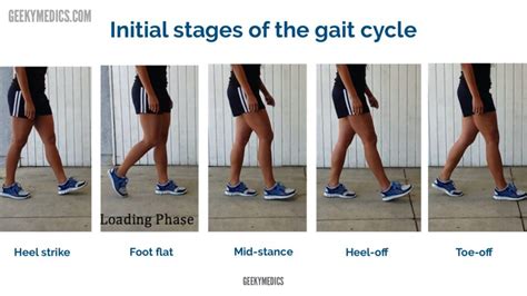 Hip Examination - OSCE Guide | Geeky Medics