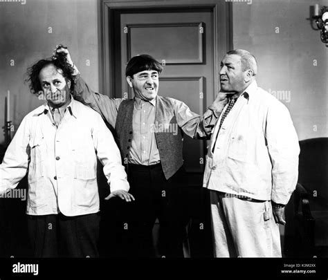 THE THREE STOOGES LARRY FINE, MOE HOWARD, CURLY HOWARD American ...