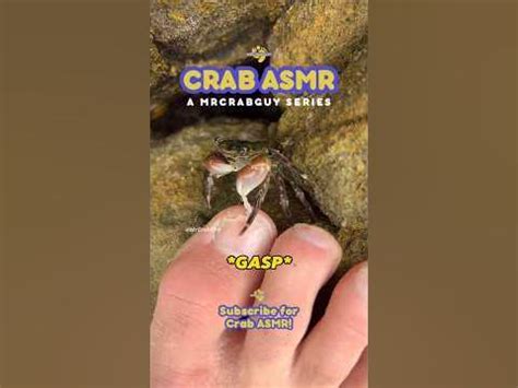 Sounds of CRAB PEDICURE | CRAB ASMR Sounds 🦀🦶🤯 #shorts - YouTube