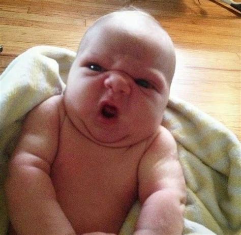 Nooooo ! | Funny babies, Funny baby memes, Baby jokes