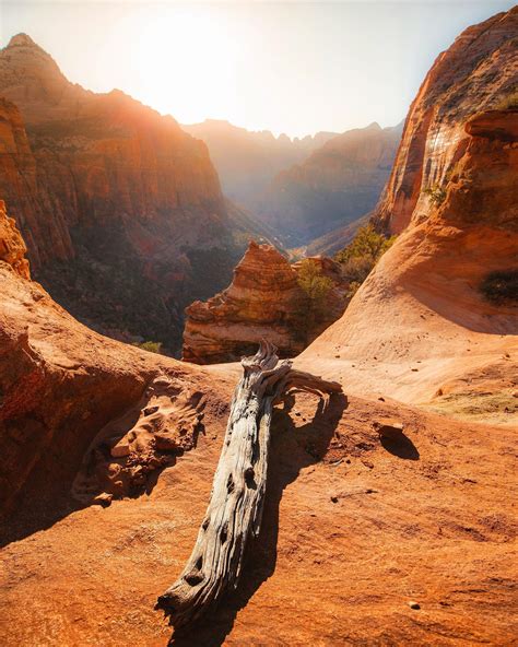 Canyon Overlook at Sunset. Zion National Park, UT. [2419×3024 ...