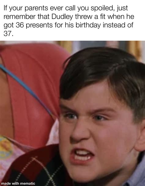 Dudley Dursley. Biggest brat in the East : r/memes