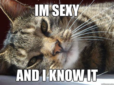 IM SEXY AND I KNOW IT - sexy cat - quickmeme