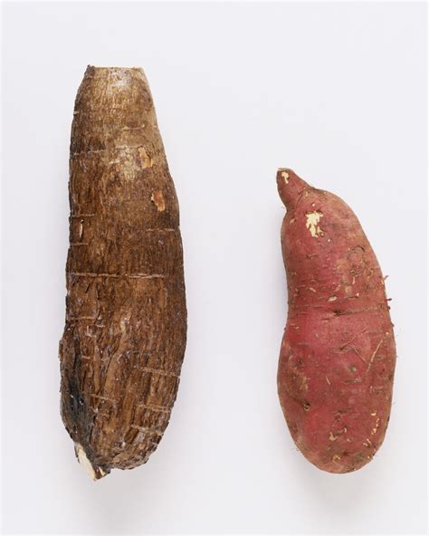 The Yam vs Sweet Potato Controversy – diana bennett | artist | interior ...