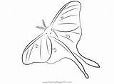 Green Moth Coloring Page For Kids  Free Moths Printable Pages sketch template