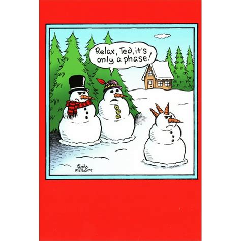 Nobleworks Only a Phase Box of 12 Funny / Humorous Christmas Cards ...