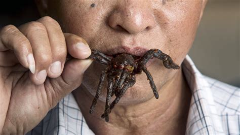 Inside The Cambodian Town That Eats Spiders - YouTube