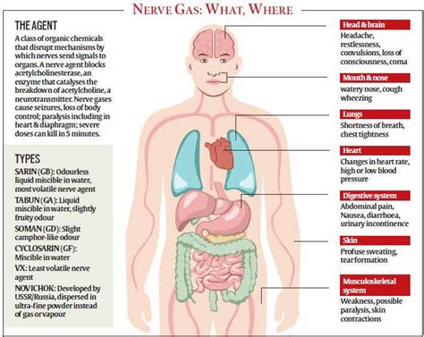 Weapons of warfare: How nerve gas and other chemical weapons kill, in Syria or elsewhere ...