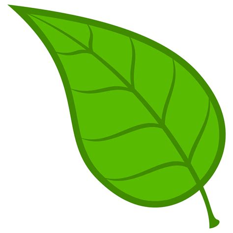 Free Leaf Clipart Png, Download Free Leaf Clipart Png png images, Free ClipArts on Clipart Library