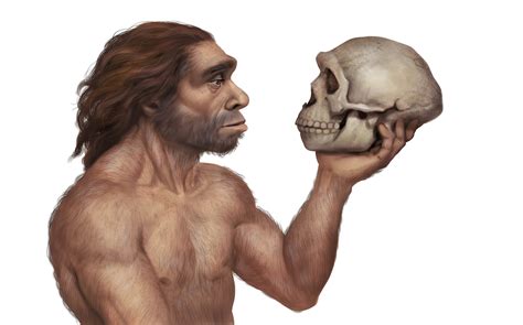 Humans almost went extinct around 900,000 years ago, study reveals