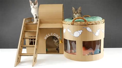 Perfect Shelter for Outdoor Cats: Heated Cat House with Electric Heat ...