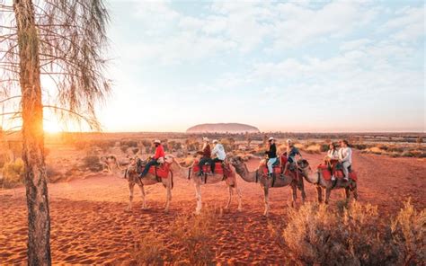 Uluru Camel Tours (Yulara) - All You Need to Know BEFORE You Go