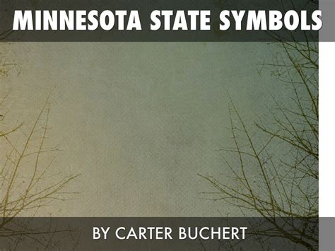 Minnesota State Symbols by Carter Buchert