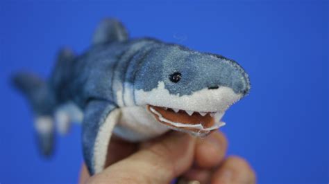 Shark finger puppet from Folkmanis – Lucas Miller, the Singing zoologist