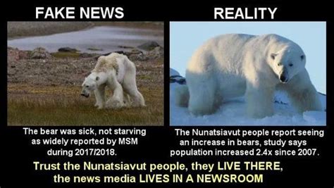 Nunatsiavut wildlife manager says polar bear numbers "very, very healthy" - Inuit hunters agree ...