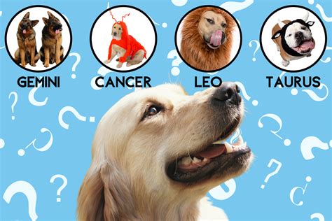 Pawp Quiz: What Zodiac Sign Is Your Dog Really?