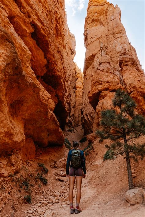 Hiking Navajo Loop and Queen's Garden Trail | Where We Went Next