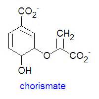 Chorismate - encyclopedia article - Citizendium