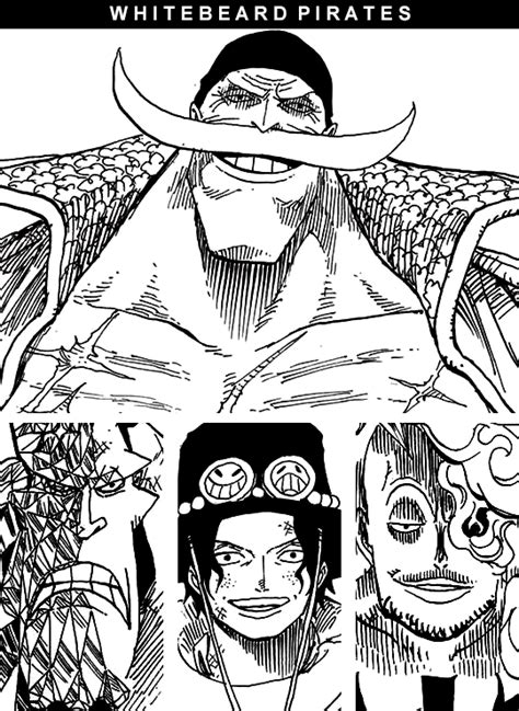 Whitebeard Pirates top ranks | One piece manga, One piece images, One ...