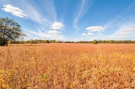 Columbia Farms & Land For Sale | TN