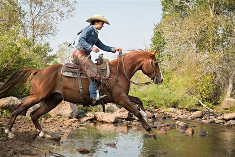 Western Reining - the proud western horseback riding discipline ...