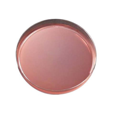 Macconkey Agar Plate Application: Chemical Laboratory at Best Price in Delhi | Pouring India