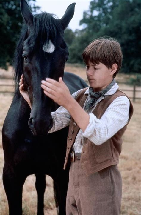 Pin on Horses in the Movies