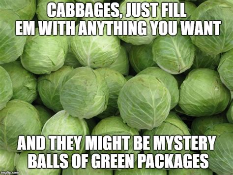 cabbage Memes & GIFs - Imgflip