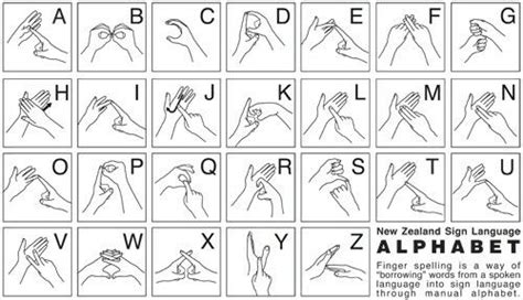 Alphabet sign language NZ | Sign language alphabet, British sign language, Sign language interpreter