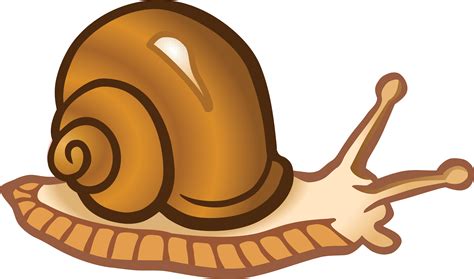 Snail Clipart