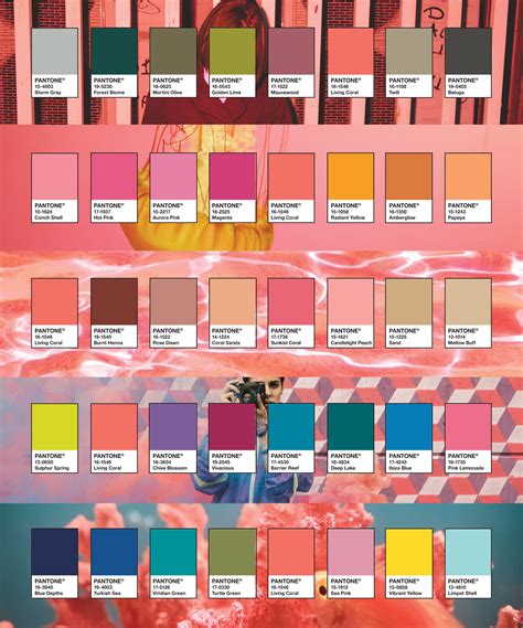 Pantone Color Of The Year 2023 Hex - Goolsby Charlie