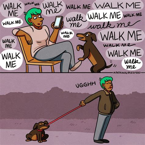 Walking the dog | Memes, Dog memes, Funny dog memes