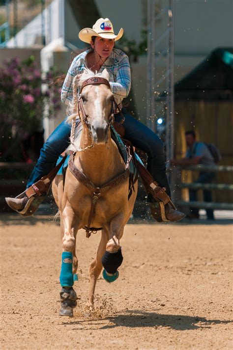 Free Images : recreation, rein, stallion, mane, headgear, barrel, bridle, saddle, mare, jockey ...