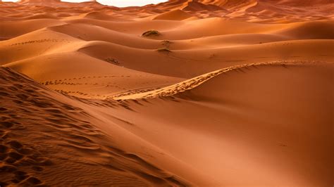 Download wallpaper: Sahara Desert 1920x1080