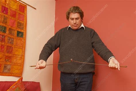 Man using a divining rod - Stock Image - C054/9924 - Science Photo Library