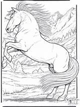 Realistic Horse coloring pages To Download And Print For Free sketch template