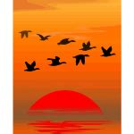 Flock of flying geese silhouette | Free SVG