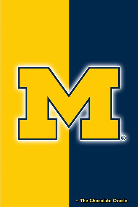 NCAA 5 Panel Canvas Print Wall Art | Michigan football, University of ...