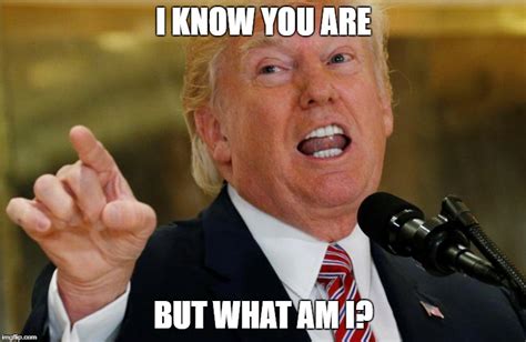 Trump says "I know you are but what am I?" - Imgflip