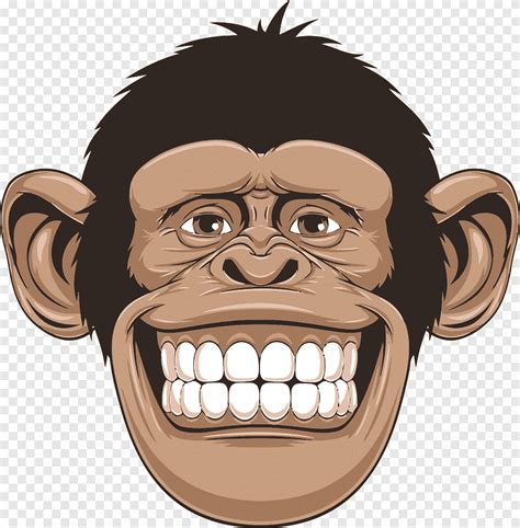 Бесплатная загрузка | Рисунок приматов шимпанзе, обезьяна ...
