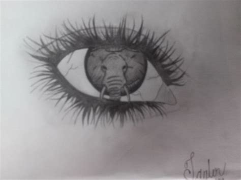 Elephant Eye Drawing at PaintingValley.com | Explore collection of ...