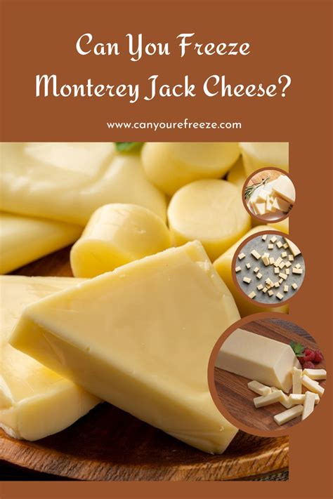 Can You Freeze Monterey Jack Cheese? Does It Freeze Well? - Can You ...