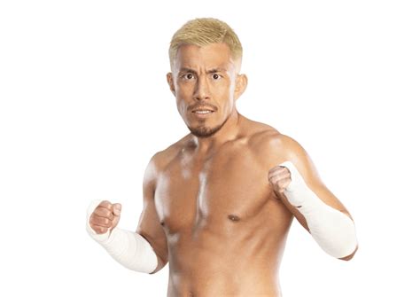 Akira Tozawa: Profile, Career Stats, Face/Heel Turns, Titles Won ...