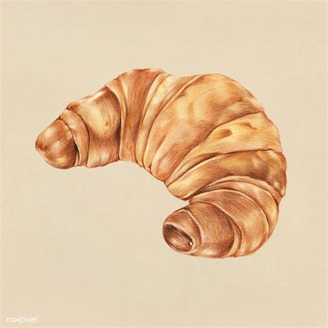 Freshly baked croissant hand-drawn illustration | premium image by ...