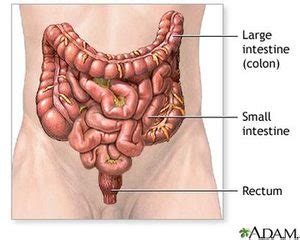 COLARIS® Testing | LAKE COUNTY INTERNAL MEDICINE ASSOCIATES