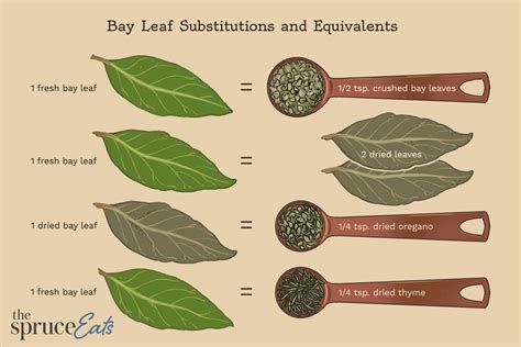 Substituting Bay Leaves for Basil: A Comprehensive Guide - PlantHD