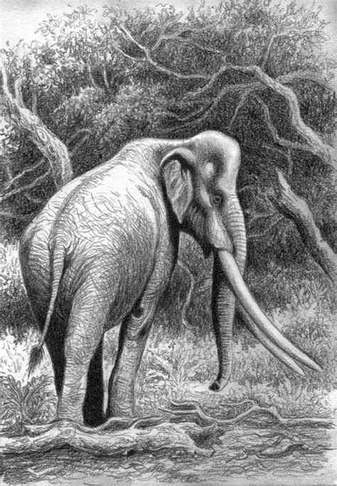 Palaeoloxodon recki by WillemSvdMerwe on DeviantArt