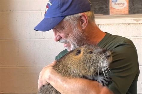 UPDATE: Beloved Pet Nutria Allowed to Stay With Louisiana Family