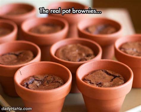 Pot Brownies